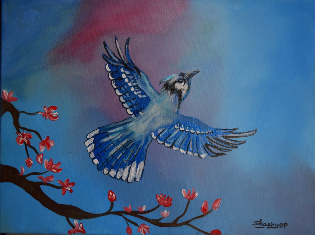 BLueJay-Acrylic-12x16x0.75
